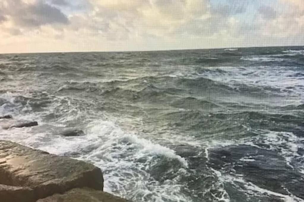 Cozy Beachside Condo With Pool View Corpus Christi Luaran gambar